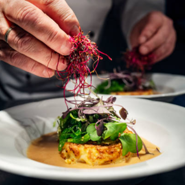 Integer posuere erat a ante venenatis dapibus posuere velit aliquet.